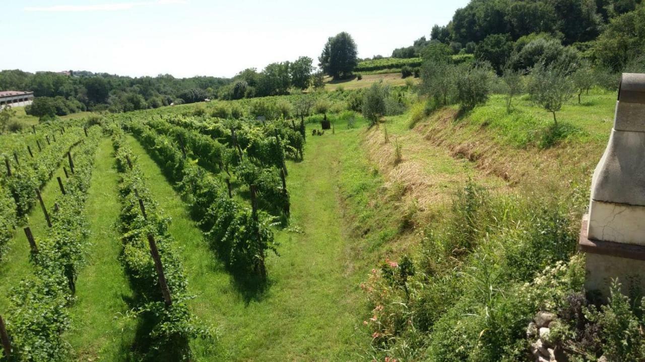 La Bosca Agriturismo ガヴァルド エクステリア 写真